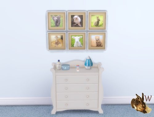 So Fluffy! Baby Animal Prints