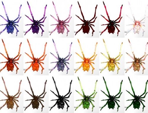 Spiders on the face at LizzikSims