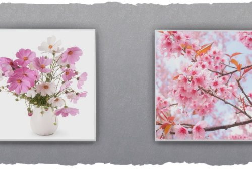 Spring pictures by Chalipo at All 4 Sims
