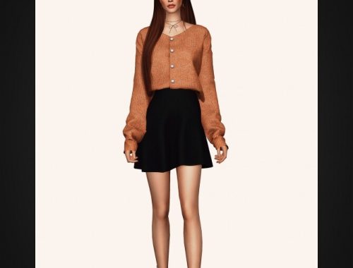 Spring Set: blouse and skirt at Gorilla