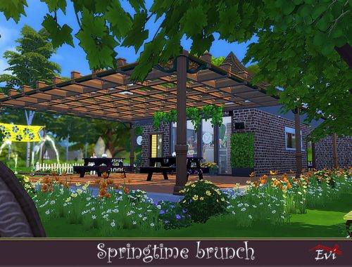 Spring time brunch