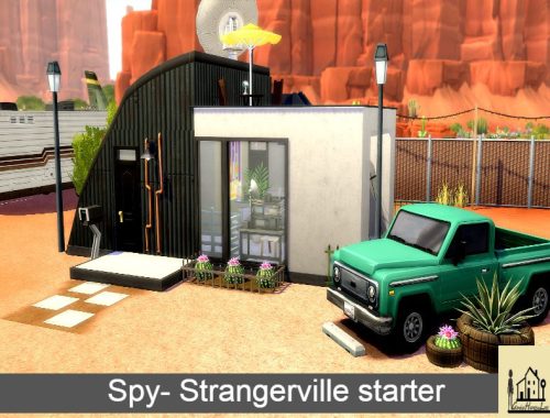 SPY- Strangerville starter (base game +St)