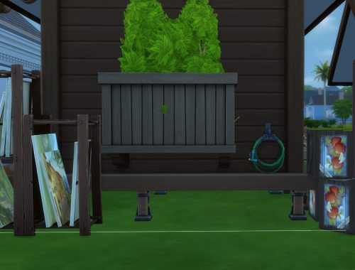 Fishing Pond Cabin