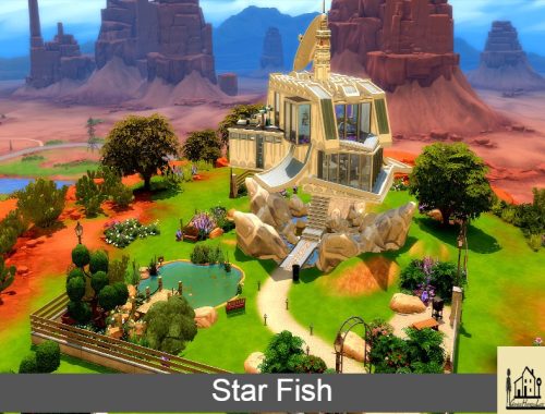 Star Fish