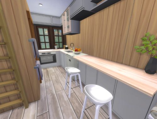 Starter Micro Home with Loft Bedroom