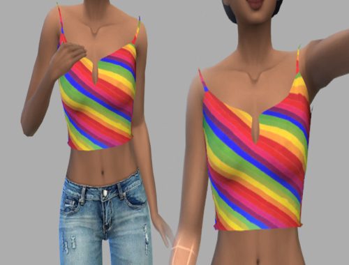 Striped Crop Top