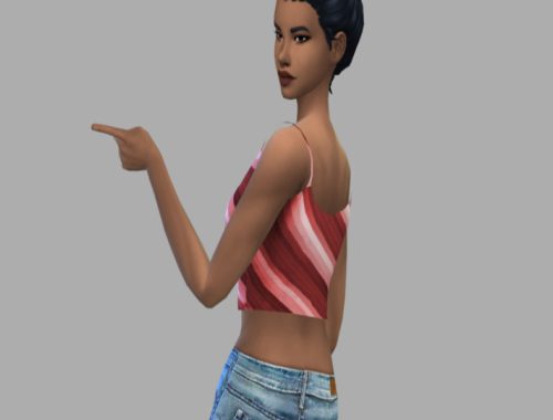 Striped Crop Top