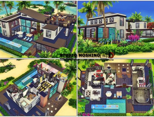 Studio Moshino