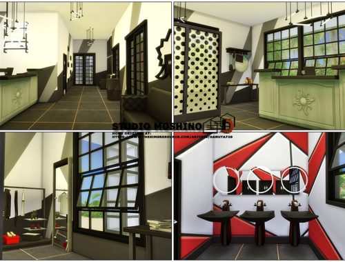 Studio Moshino