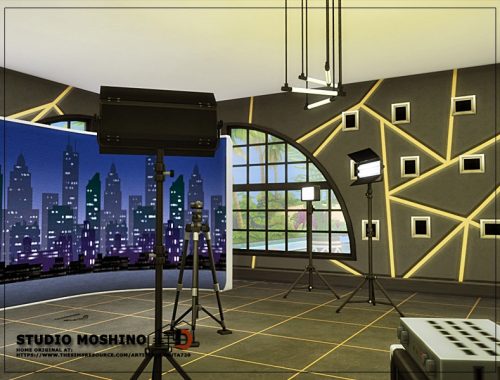 Studio Moshino