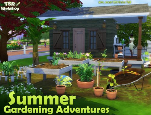 Summer Gardening Adventures