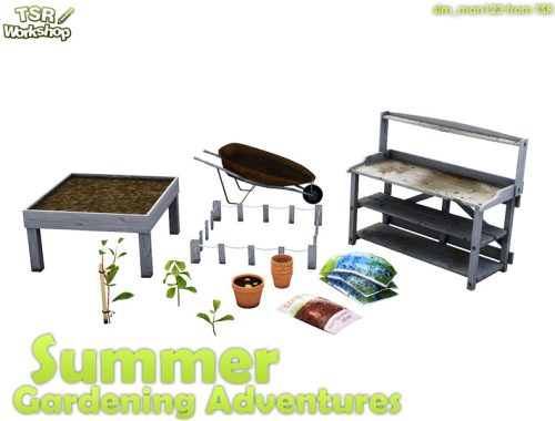 Summer Gardening Adventures