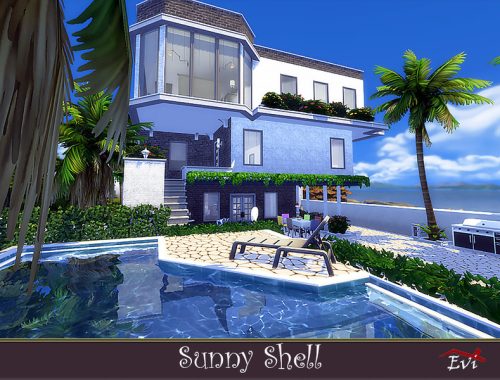Sunny Shell