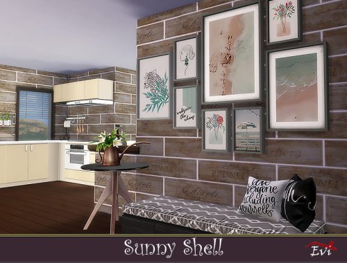 Sunny Shell