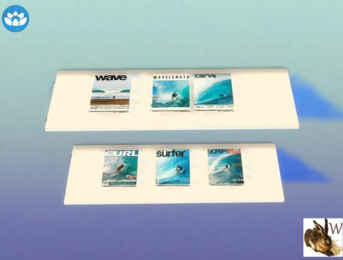 Surfing Magazines-Requires Spa Day