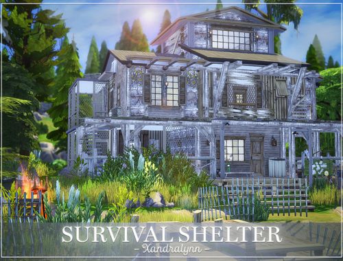 Survival Shelter