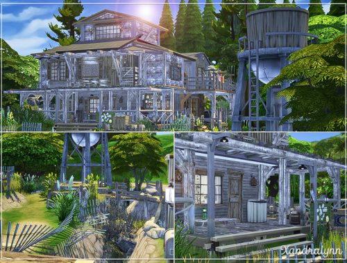 Survival Shelter