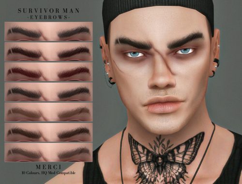 Survivor Man -Eyebrows-