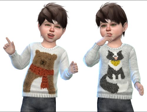 Sweater for Toddler Boys 02 - Cats and Dogs needed