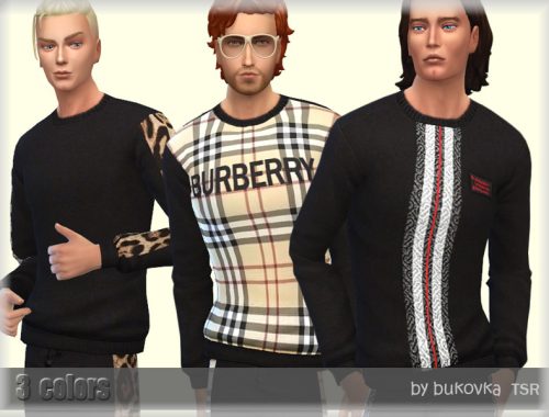 Sweater Male