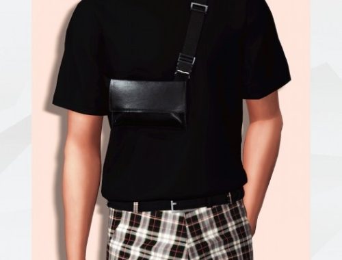 T-Shirt & Holster Bag at Gorilla