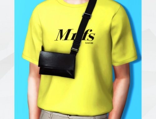 T-Shirt & Holster Bag at Gorilla