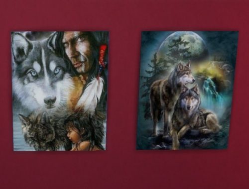 T55 American Indian paintings at Trudie55