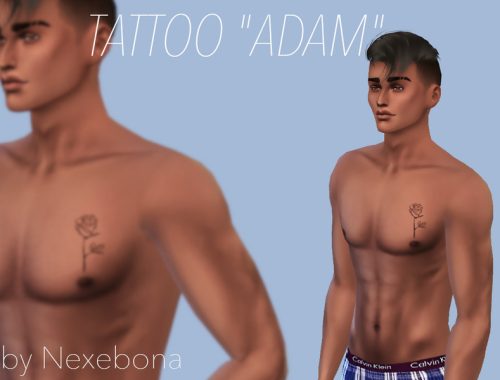 TATTOO "ADAM"