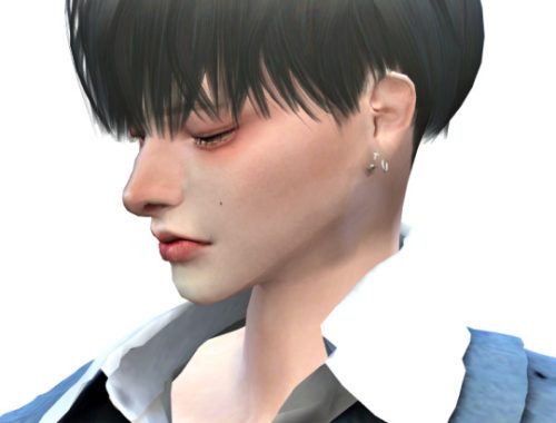 Teddy Hair at Lemon Sims 4