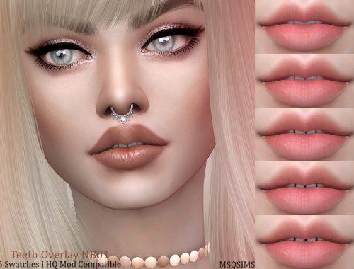 Teeth Overlay NB01
