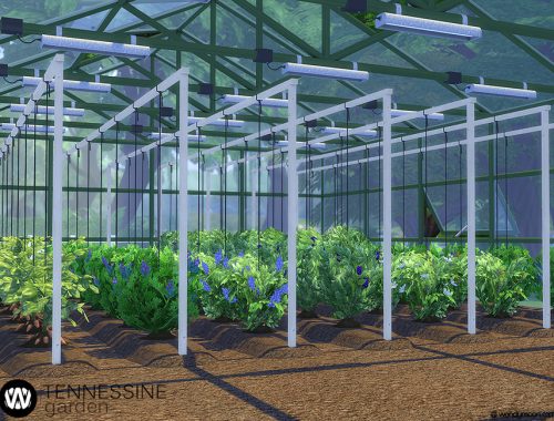 Tennessine Garden - Growing Plants