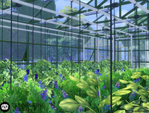 Tennessine Garden - Growing Plants