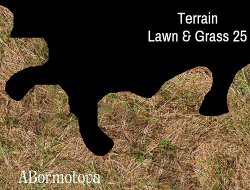 Terrain Lawn & Grass Set