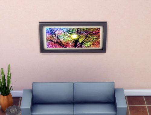 The Bold Strokes Collection