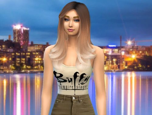 The Buffy The Vampire Slayer