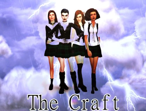 the craft set