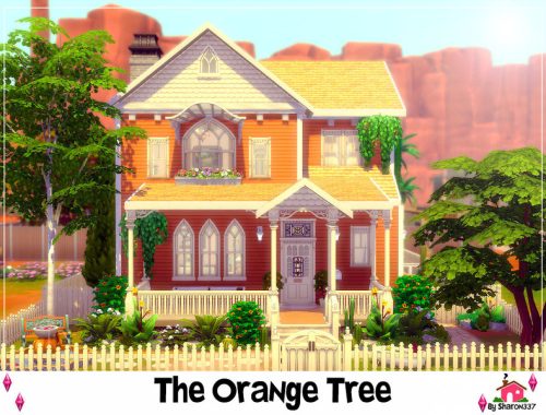 The Orange Tree - Nocc