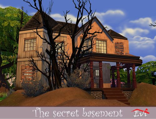 The Secret Basement