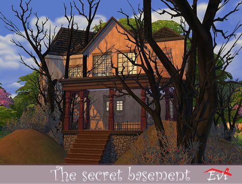 The Secret Basement