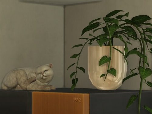 The Sims 4 Eco Kitchen Custom Stuff Pack by littledica