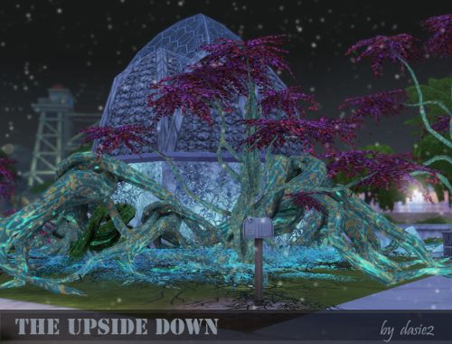 THE UPSIDE DOWN
