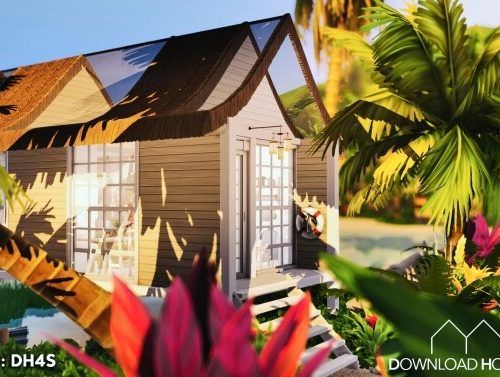 Tiny Beach Cabin at DH4S