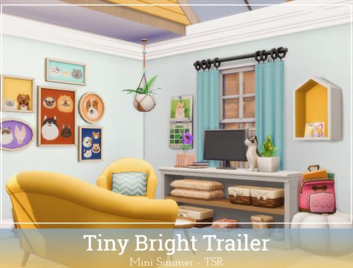Tiny Bright Trailer