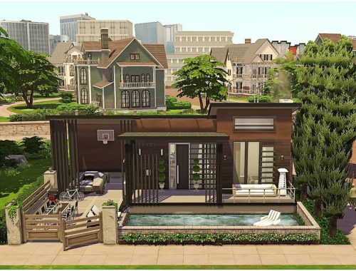 Tiny Celebrity House