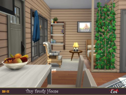 Tiny Family Home