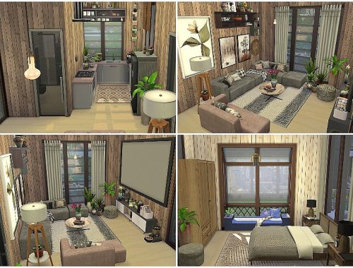 Tiny Family House