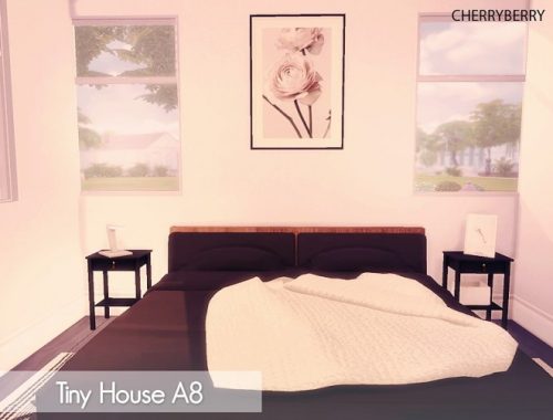 Tiny House A8