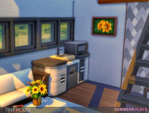 Tiny House
