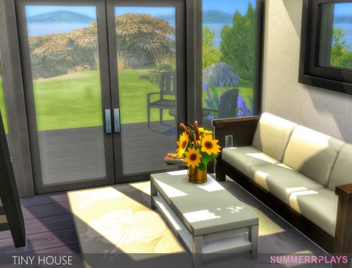Tiny House