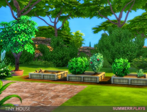 Tiny House